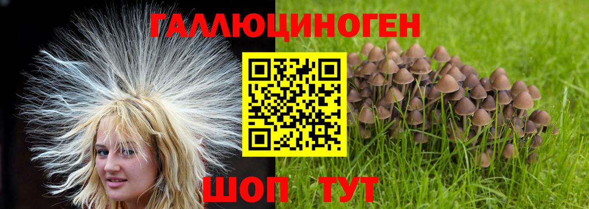 Тимашёвск  Галлюциногенные грибы ЛСД  Вход с VPN 
